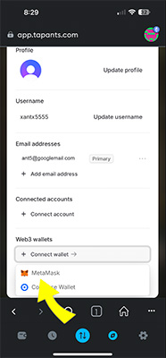 Profile screen showing wallet connection options