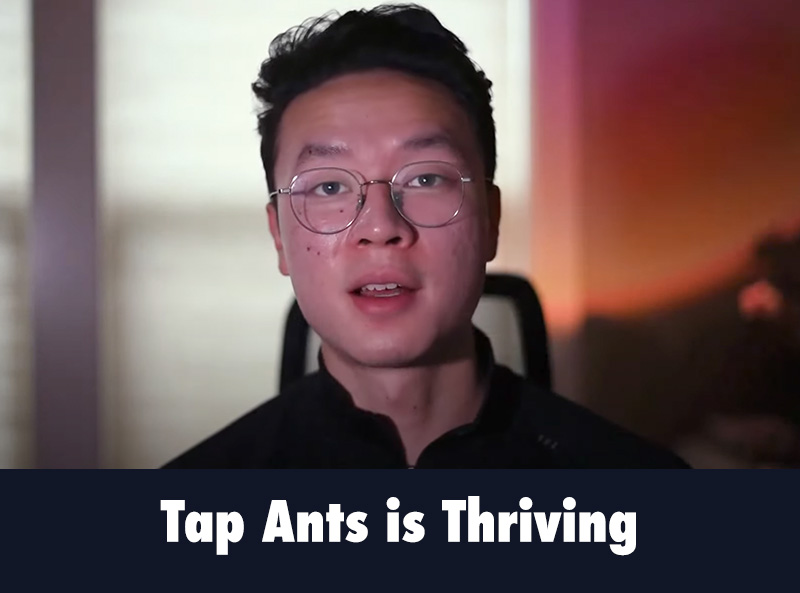 Tap Ants Thriving: Over 35,000 Players Across 75+ Countries!